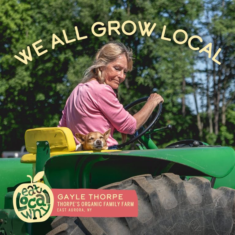 Read more about the article How much of your food budget goes to local farmers?