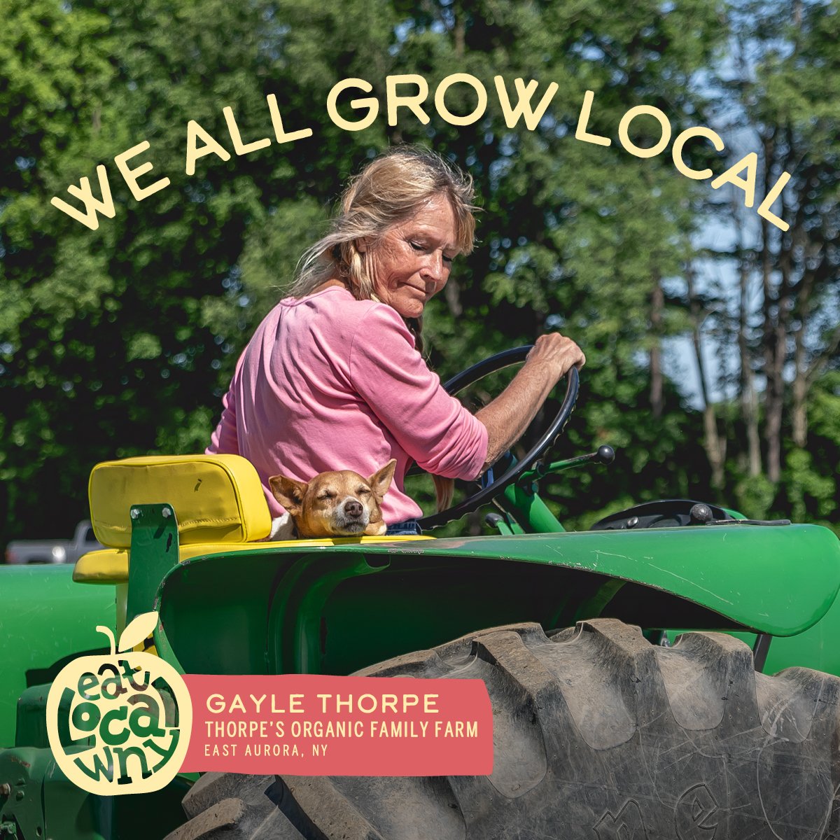 Read more about the article How much of your food budget goes to local farmers?