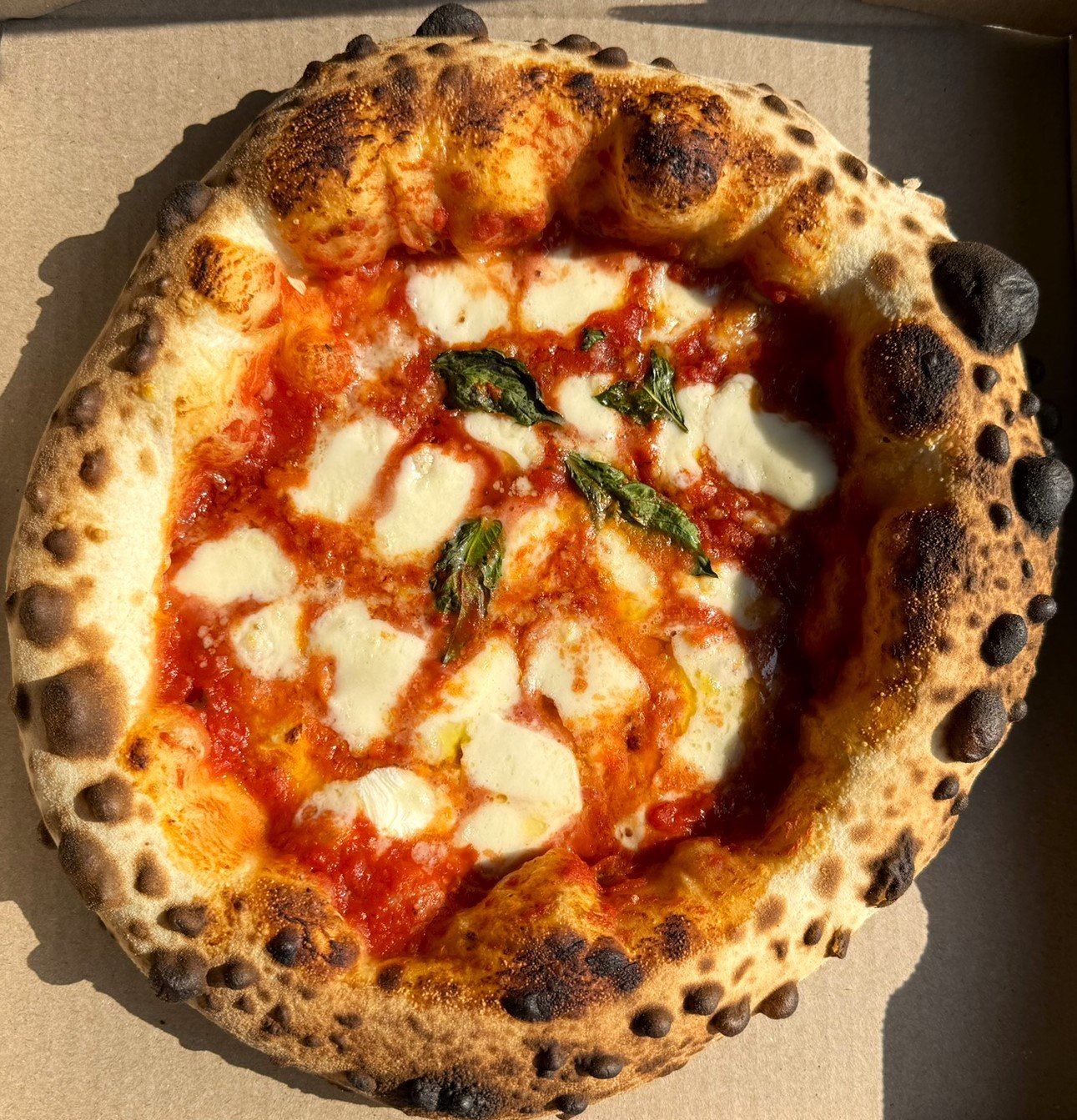 Read more about the article Fresh pizza, bougatsa, and more at Williamsville Farmers Market