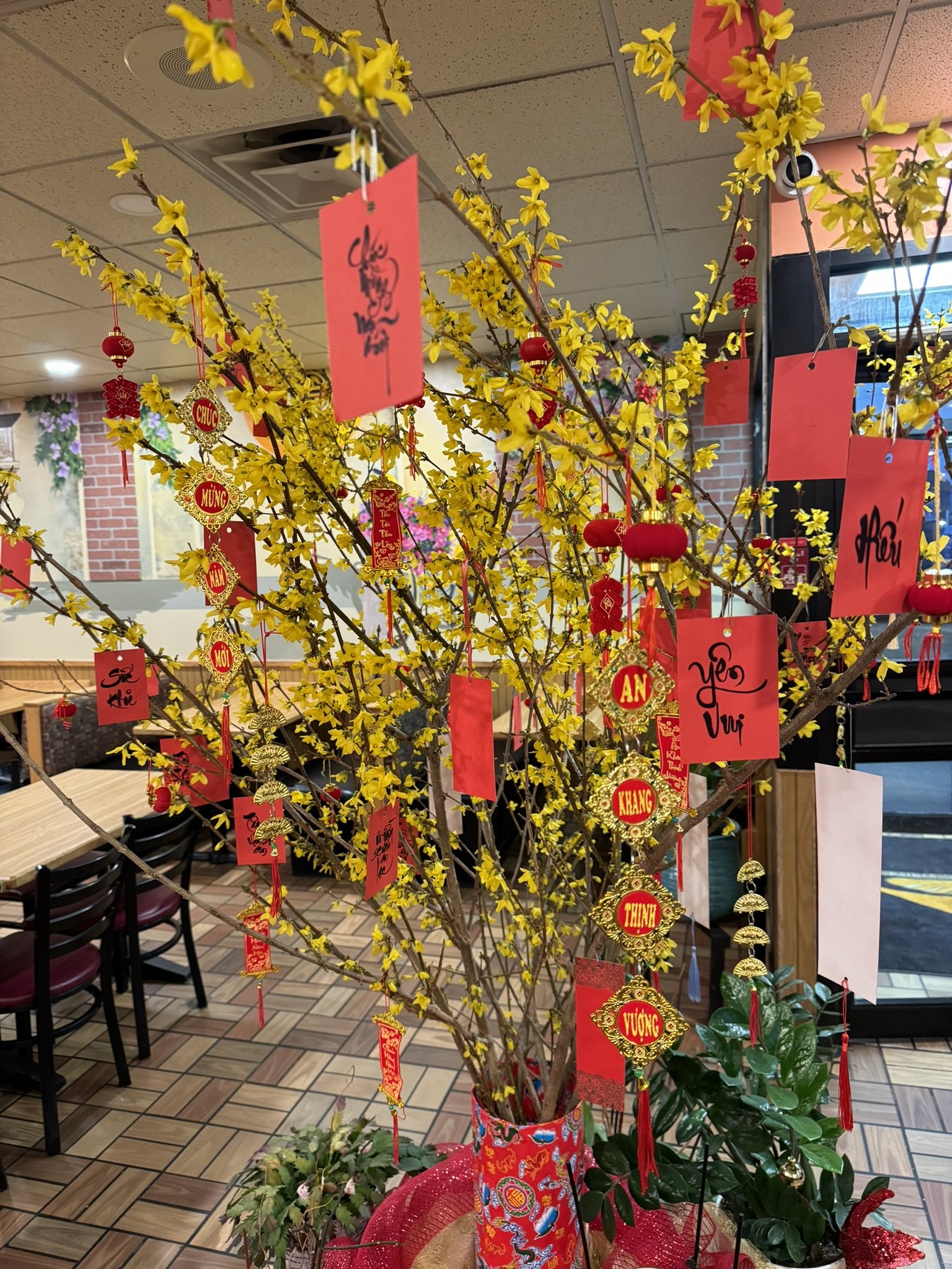 Read more about the article Try free Vietnamese holiday treats at Pham’s Kitchen Tet celebration