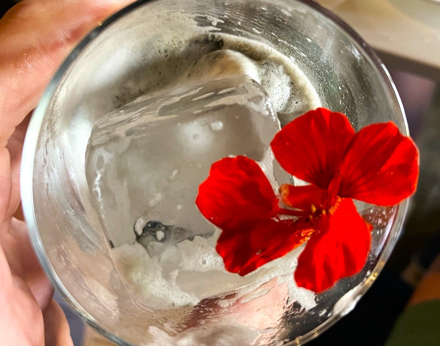 Read more about the article Sunday News: Waxlight, Southern Junction spark Buffalo restaurant day of jubilee