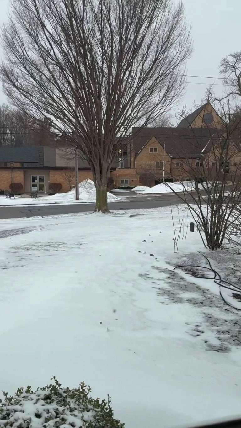 Read more about the article Thanks to the Orchard Park Public Library for hosting me and all of the amazing folks who came out to my event