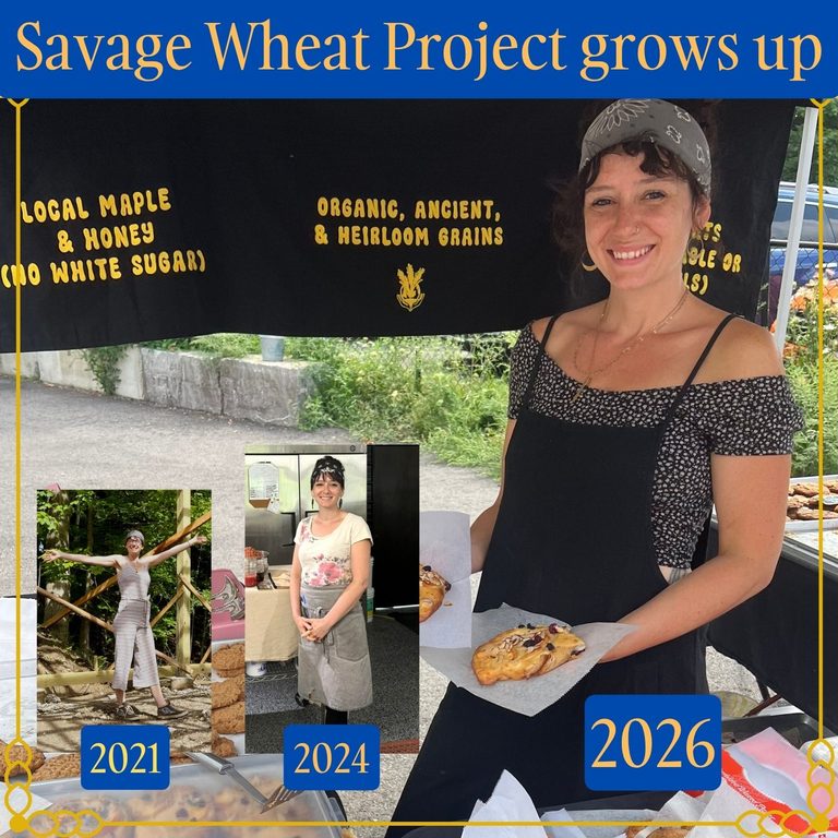 Read more about the article SUNDAY NEWS: Savage Wheat project grows up